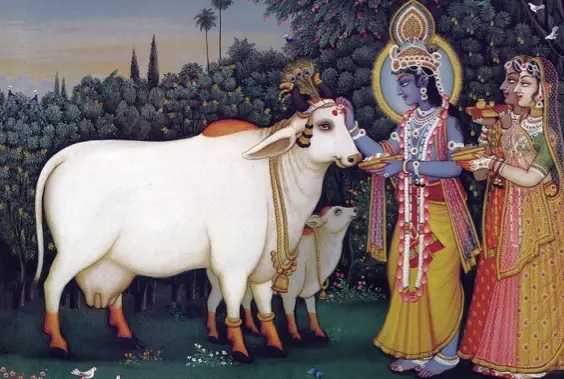 Fodder Support Image